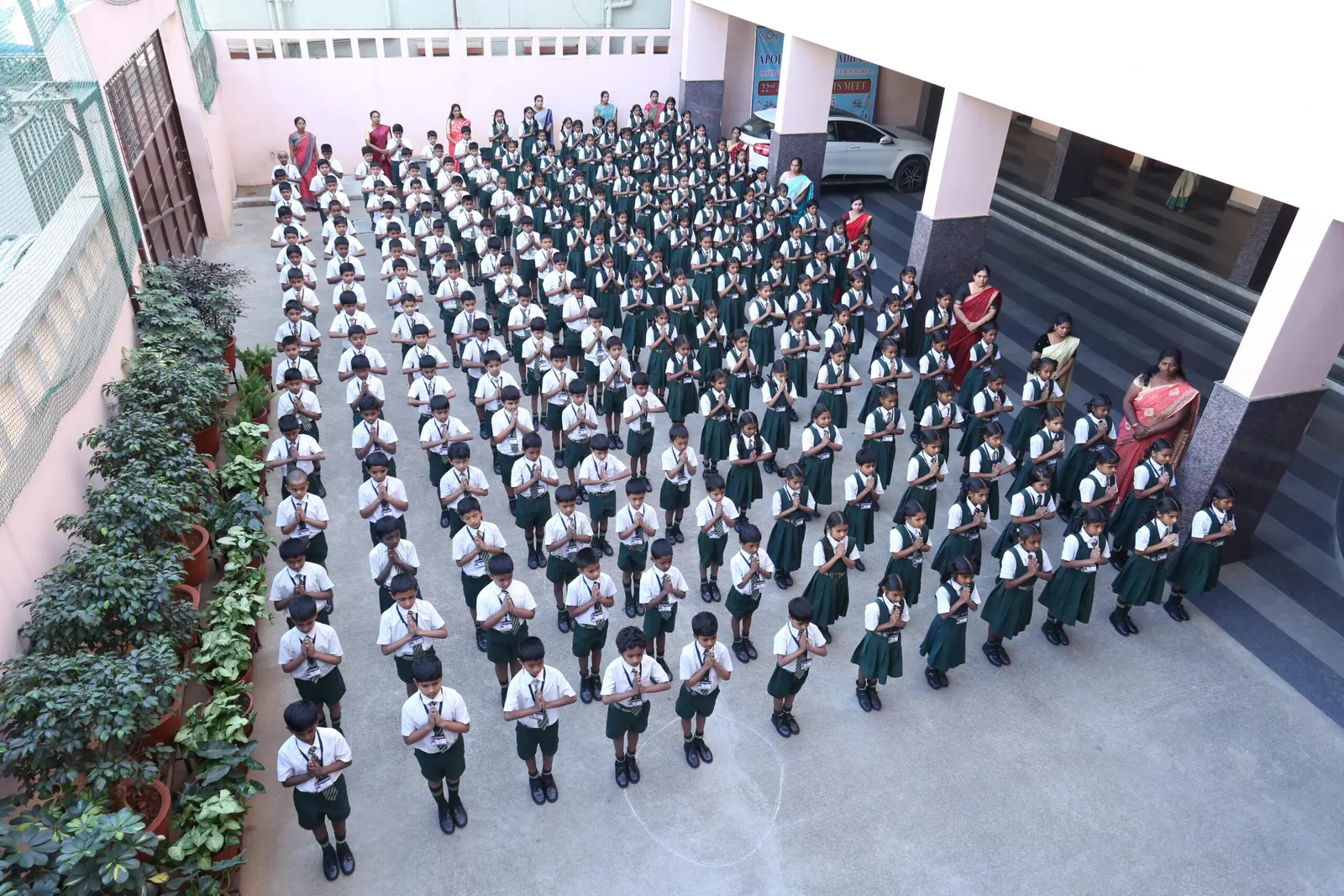 Primary wing activity